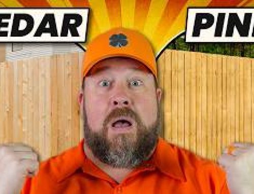 Cedar vs Pressure Treated Pine Fence - Which Is Better?