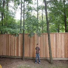 Clôture en bois